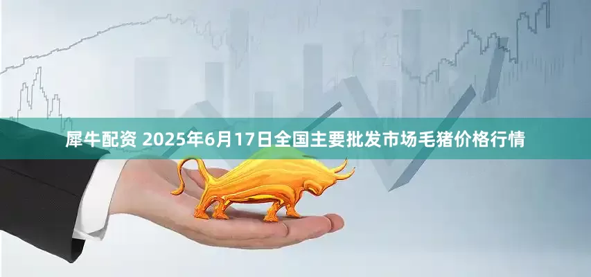 犀牛配资 2025年6月17日全国主要批发市场毛猪价格行情