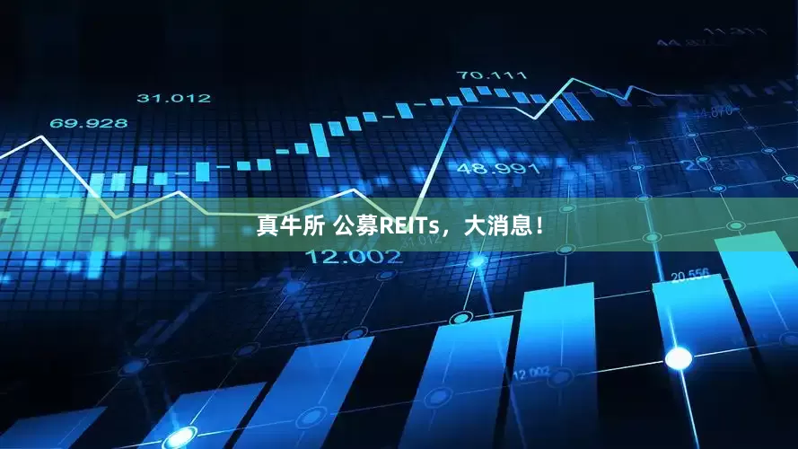 真牛所 公募REITs，大消息！